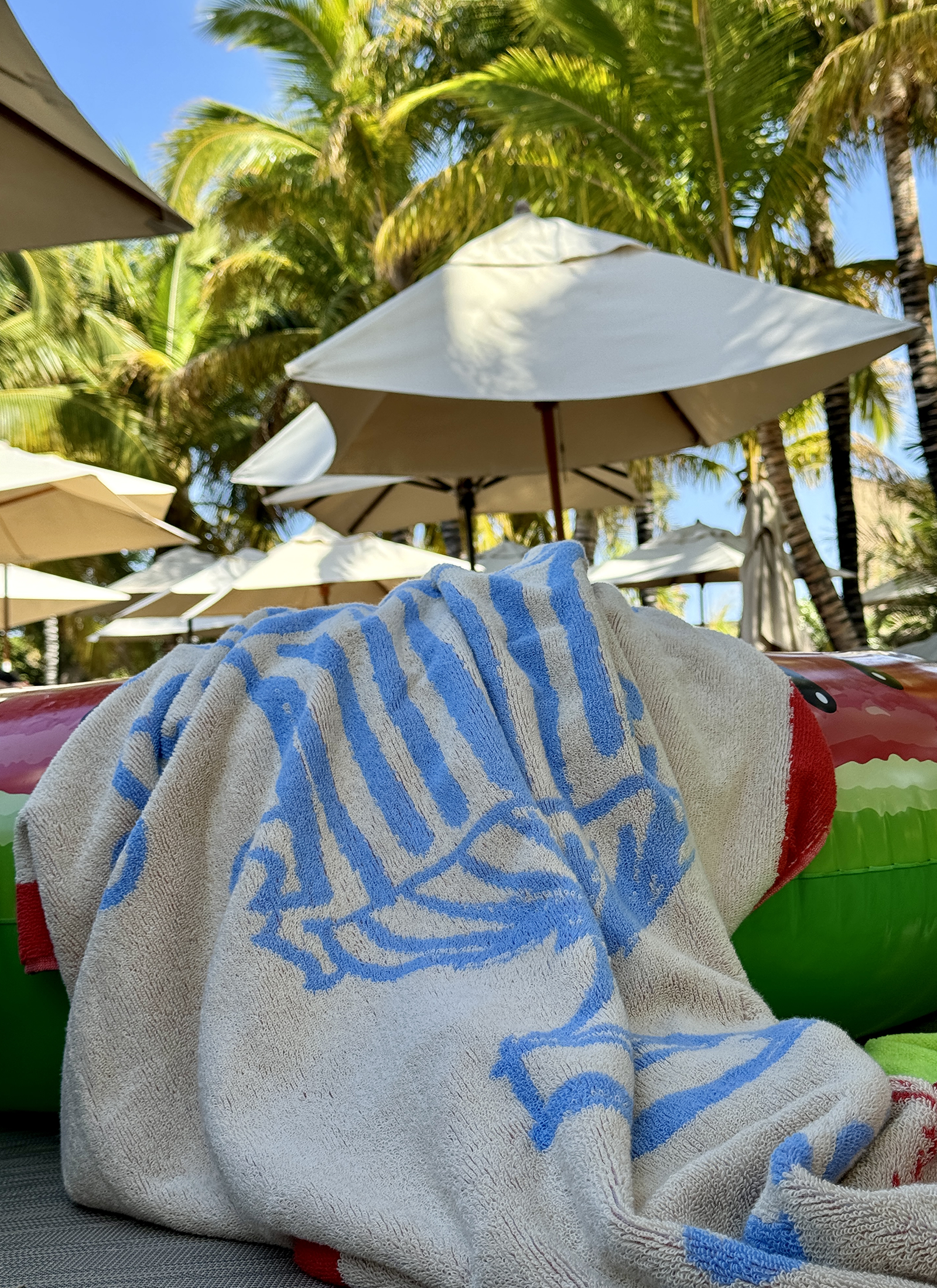 TERRY BEACH TOWEL